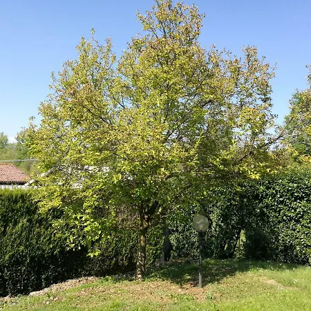 Benessere & Ballo * Biella